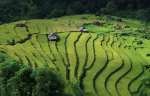 Tanah murah di Malang untuk investasi dan pembangunan rumah